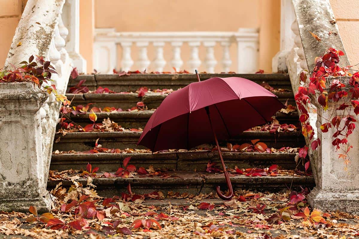 Pantone has named the color of the year for 2015, Marsala